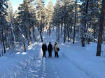 Ivalo