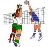 La pallavolo