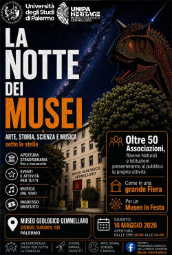 notte ai musei