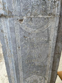 PANORMUS