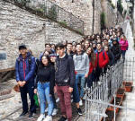 in giro