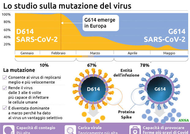 studio mutazioni