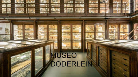 doderlain