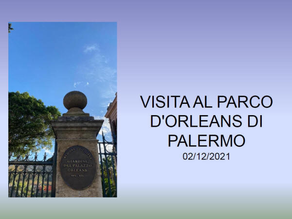 visita