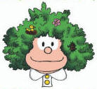 mafalda verde