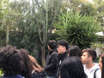 giardino della Concordia