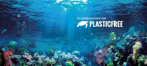 plastic free