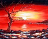Il vecchio albero di Marcella Mandis